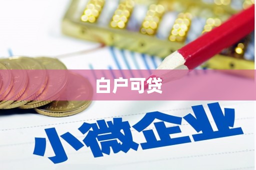 雷州白户可贷