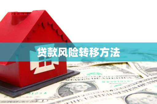 饶阳贷款风险转移方法