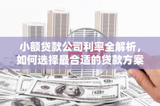 潼关小额贷款公司利率全解析，如何选择最合适的贷款方案